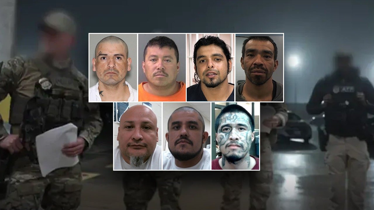 ICE Houston arrests 356 illegal migrants who are members of 40 different gangs