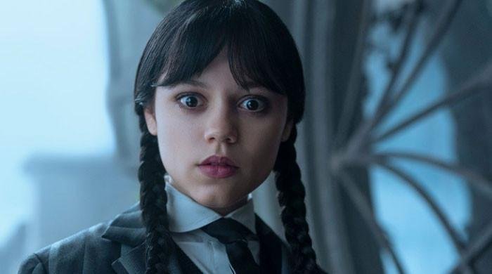 'Wednesday' season 2 big viewership figures revealed