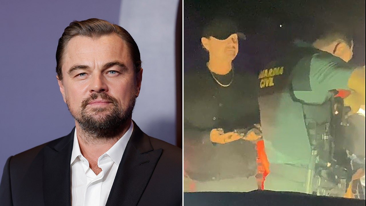 Leonardo DiCaprio waited at security before entering exclusive party: video